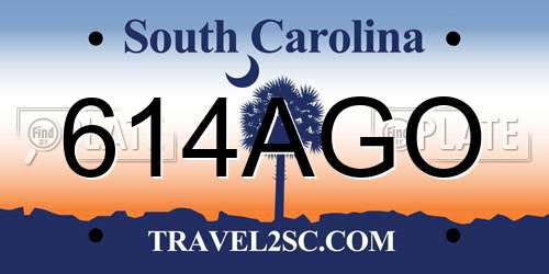 614AGO South Carolina License Plate