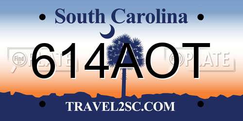 614AOT South Carolina License Plate
