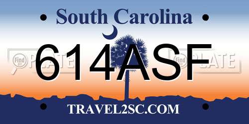 614ASF South Carolina License Plate