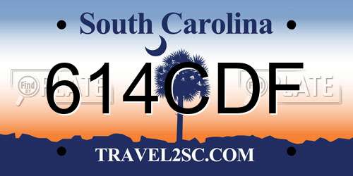 614CDF South Carolina License Plate