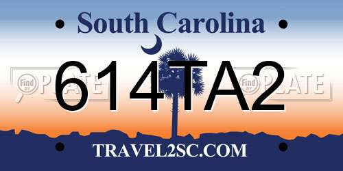 614TA2 South Carolina License Plate