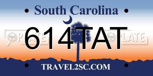 614TAT South Carolina License Plate