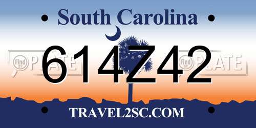 614Z42 South Carolina License Plate