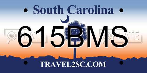615BMS South Carolina License Plate