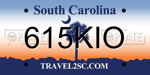 615KIO South Carolina License Plate