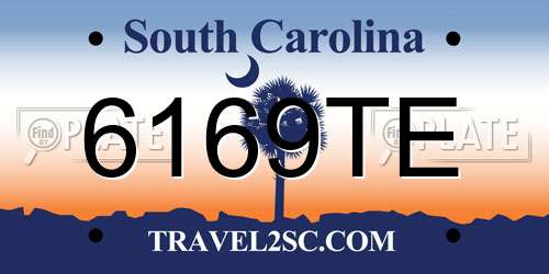 6169TE South Carolina License Plate