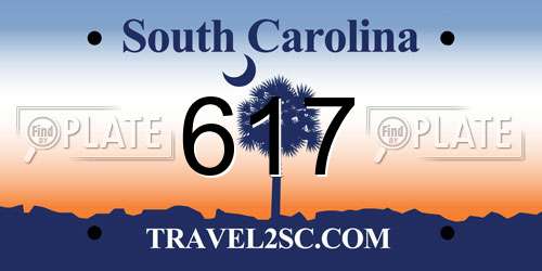617 South Carolina License Plate