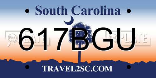 617BGU South Carolina License Plate