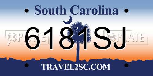 6181SJ South Carolina License Plate
