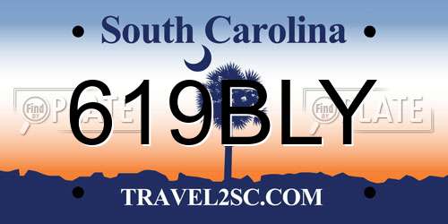 619BLY South Carolina License Plate