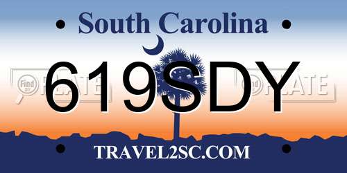 619SDY South Carolina License Plate