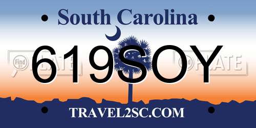 619SOY South Carolina License Plate