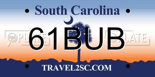 61BUB South Carolina License Plate