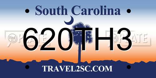 620TH3 South Carolina License Plate