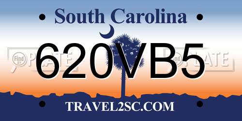 620VB5 South Carolina License Plate