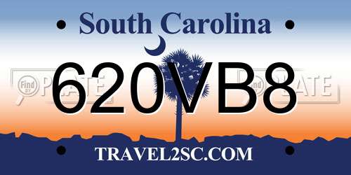 620VB8 South Carolina License Plate
