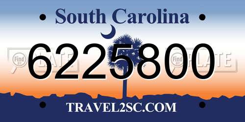 6225800 South Carolina License Plate