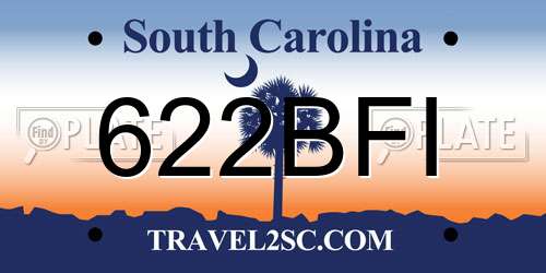 622BFI South Carolina License Plate