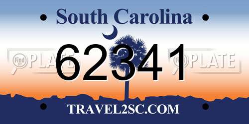62341 South Carolina License Plate