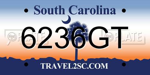 6236GT South Carolina License Plate