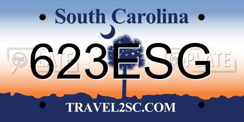623ESG South Carolina License Plate