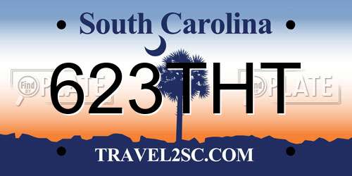 623THT South Carolina License Plate