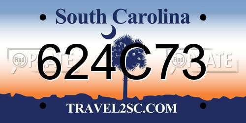 624C73 South Carolina License Plate