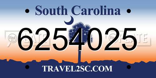 6254025 South Carolina License Plate