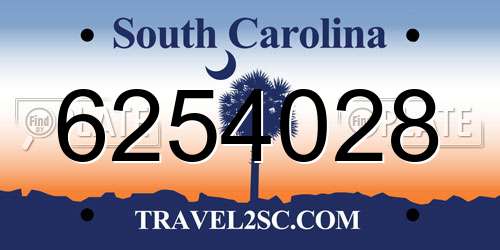 6254028 South Carolina License Plate