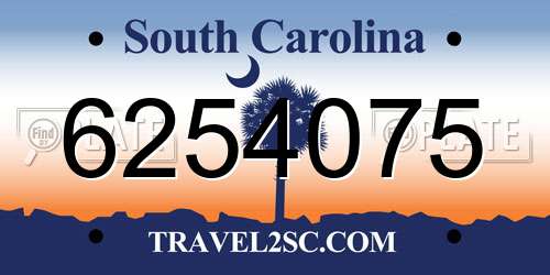 6254075 South Carolina License Plate