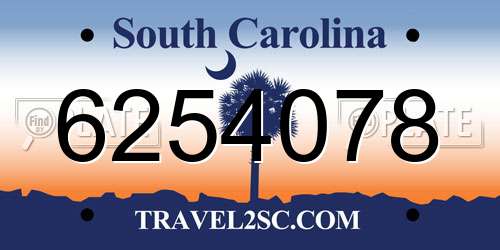6254078 South Carolina License Plate