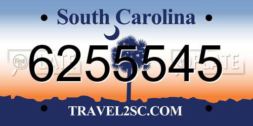 6255545 South Carolina License Plate