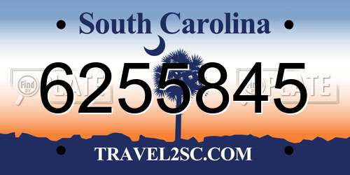 6255845 South Carolina License Plate