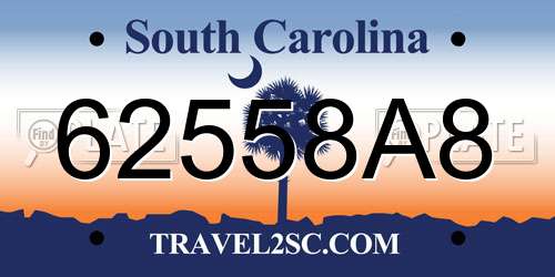 62558A8 South Carolina License Plate