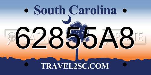 62855A8 South Carolina License Plate