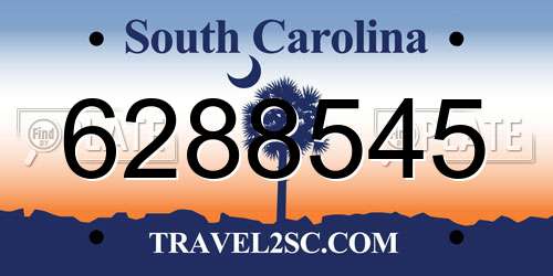 6288545 South Carolina License Plate