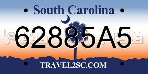 62885A5 South Carolina License Plate