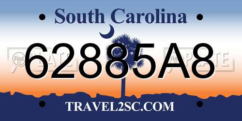 62885A8 South Carolina License Plate
