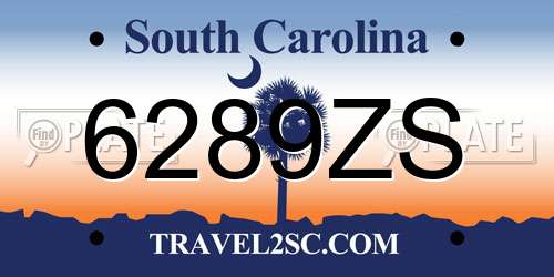 6289ZS South Carolina License Plate