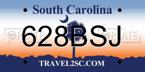 628BSJ South Carolina License Plate