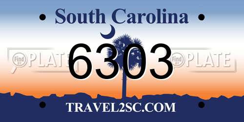 6303 South Carolina License Plate
