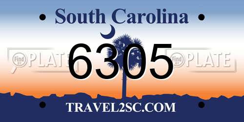 6305 South Carolina License Plate