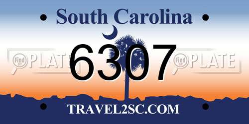 6307 South Carolina License Plate