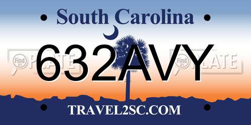 632AVY South Carolina License Plate