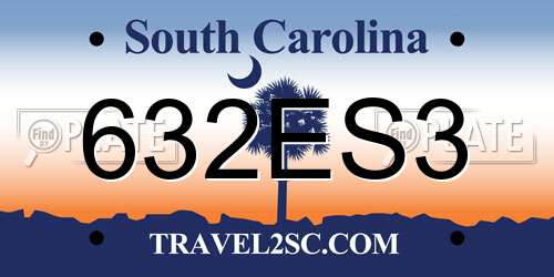 632ES3 South Carolina License Plate
