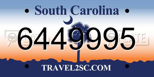 6449995 South Carolina License Plate