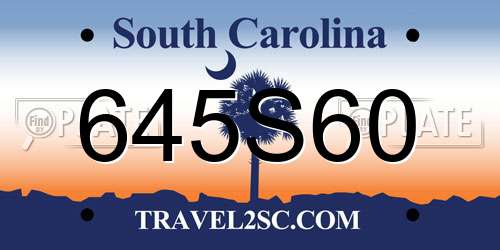 645S60 South Carolina License Plate