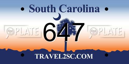 647 South Carolina License Plate