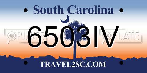 6503IV South Carolina License Plate