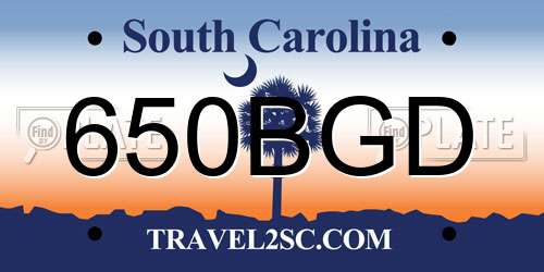 650BGD South Carolina License Plate